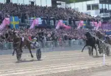 Tredje gången gillt för Go On Boy i Elitloppet go on boy mal 3 720x419 jpg