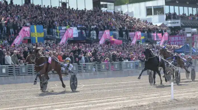Tredje gången gillt för Go On Boy i Elitloppet go on boy mal 3 720x419 jpg