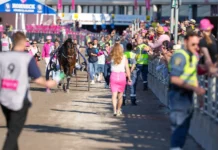 Till start – Elitloppet lottat och klart horsy dream eric raffin vinner elitloppet 2024 07888 1440x960 jpg