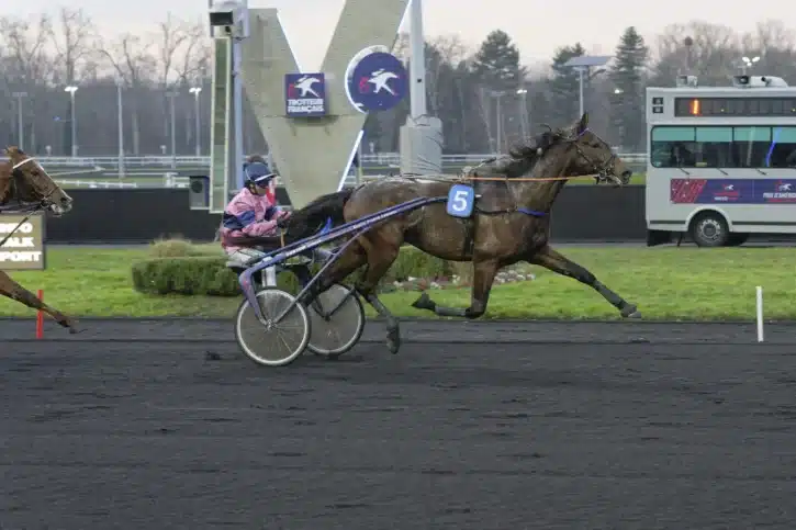 ibiki de houelle mal5 1440x959 jpg