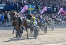 V75 Resultat 24 maj 2025: Världsrekord av Inmarosa i Harper Hanovers lopp inmarosa mal 2 720x460 jpg