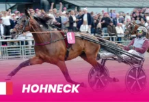Hohneck återvänder till Solvalla – Klar för Elitloppet ny hohneck 1920x1080 1 1440x810 jpg