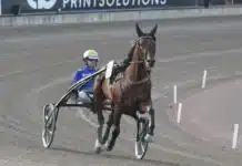 Inget Elitlopp för San Moteur – ”Det är lite tråkigt” san moteur 2 1440x1061 jpg