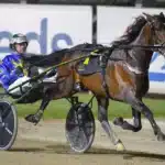 Nöjd med sista jobbet inför Elitloppet the locomotive foto club menangle 1440x960 jpg