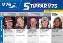 Fem tippar V75 till Halmstad 5 juli 2025 Fem tippar V75 till Halmstad 5 juli 2025