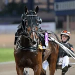 Inför V86: Stenströmer med heta bud i Åmål: ”Hästen att slå från ledningen” great time trot segerdefilerar 1440x1000 jpg