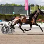 Revansch på flera sätt i Oslo Grand Prix kentucky river heat 1440x960 jpg