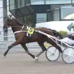 Inför V75: ”Tror och hoppas hon är bästa hästen” kobra brick 1440x1015 jpg