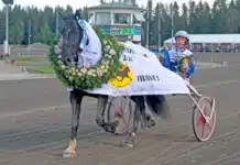 Inför V75 BODEN: Ulvsåsen åter en vinnare i comebacken – ”Har sällan förlorat när han har varit frisk” ulvsasen def 1440x962 jpg (1)