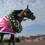 Inför V75: Världsrekordhållaren favorit i E3-finalen wise guy efter segern 1440x1019 jpg