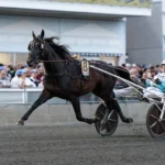 Två nya hästar inbjudna till Hugo Åbergs don fanucci zet heat 1440x960 jpg