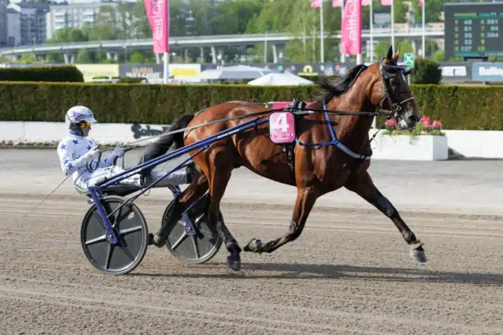 go on boy heat final 2 1440x961 jpg