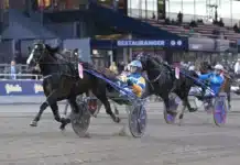 Inför V75 (tisdag): Mellby Jinx i pole position mellby jinx mal 2 1440x899 jpg