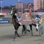 Spårlottningen klar till Hugo Åbergs – Drömlottning för Mellby Jinx mellby jinx segerdefilerar 1440x1064 jpg