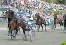 Inför V75 ÅRJÄNG: Högtryck och stjärnor – nu kan rekordet ryka nadal broline ohlsson ulf mal 3256 1440x999 jpg
