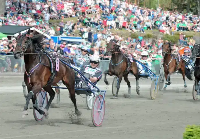 nadal broline ohlsson ulf mal 3256 1440x999 jpg