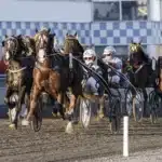 Inför V86 SKELLEFTEÅ: Nilsson kommer med en formstark kvartett sjoli morten mal 1440x960 jpg