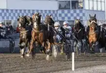 Inför V86 SKELLEFTEÅ: Nilsson kommer med en formstark kvartett sjoli morten mal 1440x960 jpg