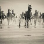 Betting på trav – en svensk tradition med modern twist trav