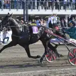 Fältet komplett till Åby Stora Pris dancer brodde mal 114 1440x892 jpg
