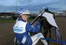 Inför V75 (tisdag): Dussinet fullt för Wäjersten i derbykvalen daniel wajesrsten nojd bakom vivillion 1440x1029 jpg