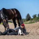 Don Fanucci Zet till Åland med ny kusk don fanucci zet daniel reden 06834 1440x960 jpg