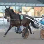 Inför V75/Åby Stora Pris: Ny storseger för Sveriges vinstrikaste stall? epic kronos 2 720x510 jpg