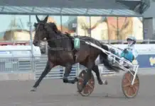 Inför V75/Åby Stora Pris: Ny storseger för Sveriges vinstrikaste stall? epic kronos 2 720x510 jpg
