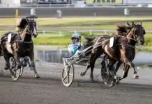 Inför V75 BERGSÅKER: Upplagt för ny superduell i Sundsvall Open Trot francesco zet upplopp sundsvall open trot 1440x810 jpg