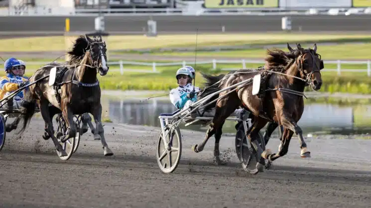 francesco zet upplopp sundsvall open trot 1440x810 jpg