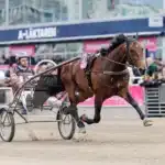 Ny start för Francesco Zet francesco zet varmning 3 1440x960 jpg (1)