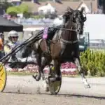 Inför V75/Åby Stora Pris: Gynnas av den långa distansen onas prince heat 1 720x480 jpg