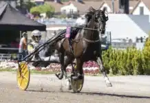 Inför V75/Åby Stora Pris: Gynnas av den långa distansen onas prince heat 1 720x480 jpg