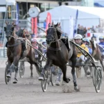 Inför V75 BOLLNÄS: ”Det klart att han ska vara favorit” fine manners mal 1440x902 jpg