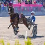 Idao de Tillard startar på Solvalla idao de tillard clement duvaldestin 06837 1440x998 jpg