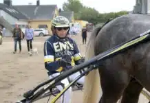 Inför V86: Waldmüllers fyraåringar ska passas markus waldmuller 720x481 jpg