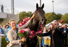 GS75 RESULTAT: Tysk uppvisning i Stockholm Cup nastaria 1440x1040 jpg