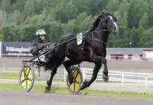 Inför V86 (torsdag): Inleder ny segersvit? tangen martin heat 1440x960 jpg