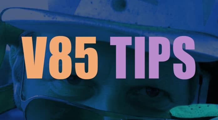 V85 & DD Tips + Unik statistik inför BERGSÅKER 8 november 2025 v85tips