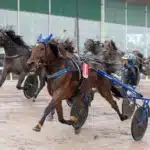 Resultat V85 JÄGERSRO: Nytt kapitel om sagohästen A Fair Day a fair day malgang 1440x960 jpg