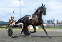 Inför V86: ”Tror han springer en 1.11-tid utvändigt” cool trix heat 1440x960 jpg