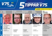 Fem tippar V75 till BJERKE 18 oktober 2025 Fem tippar V75 till BJERKE 18 oktober 2025