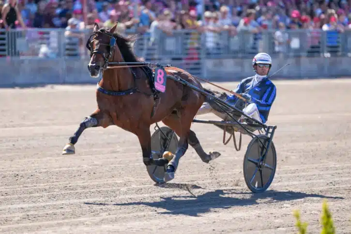 idao de tillard clement duvaldestin 06847 1440x960 jpg