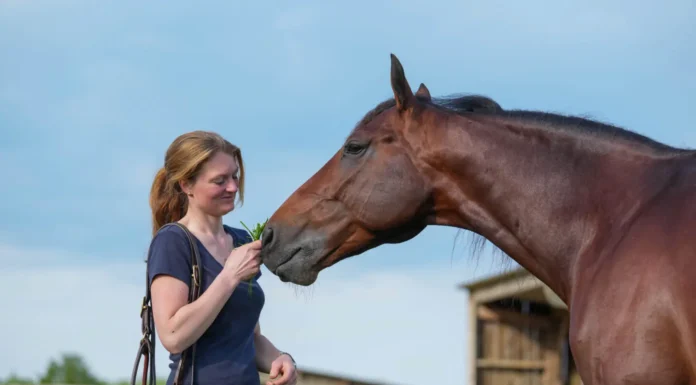 idao de tillard susanne ohme 04956 1440x960 jpg