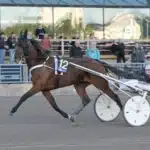 Inför V75 SOLVALLA: ”Jag har en skön känsla inför lördag” kobra brick 1440x1009 jpg