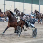 Svensk succé direkt – Power Doc inledde Vincennes vintermeeting power doc malgang 1440x960 jpg