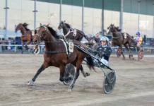 Svensk succé direkt – Power Doc inledde Vincennes vintermeeting power doc malgang 1440x960 jpg