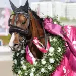 Inför V75 SOLVALLA: ”Han kommer vara 20 meter bättre nu” wise guy med krans 2 720x480 jpg