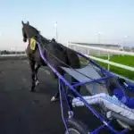 Wäjersten om söndagens Prix d’Amerique-test borups victory pa vincennes 1440x960 jpg