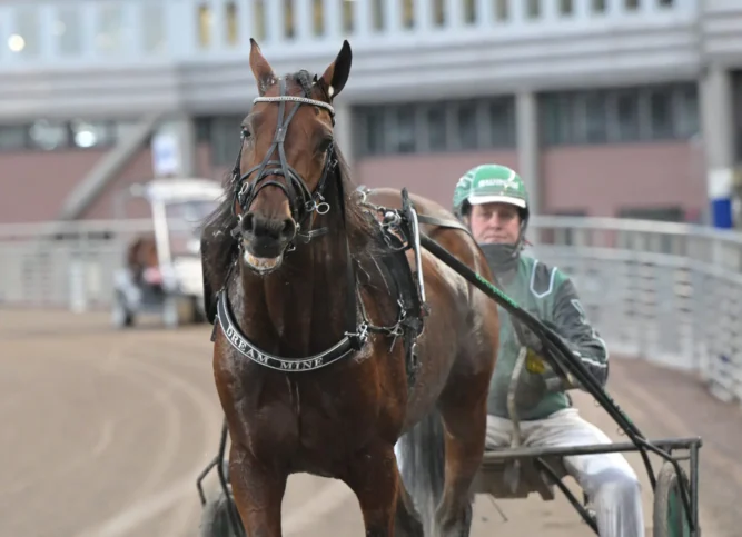 dream mine efter segern 2 1440x1043 jpg